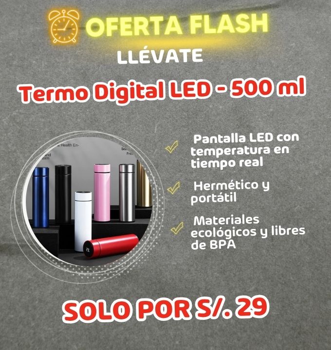 Termo Digital LED 500 ml